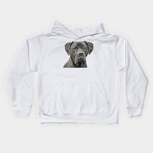 Black Great Dane Kids Hoodie